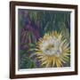 Night Bloom-Bill Jackson-Framed Giclee Print