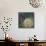 Night Bloom-Bill Jackson-Mounted Giclee Print displayed on a wall