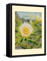 Night Blooming Cereus - Honolulu Queen of the Night - Vintage Hawaiian Airbrush Art, 1940s-Ted Mundorff-Framed Stretched Canvas