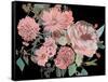 Night Blooming Flowers I-Melissa Wang-Framed Stretched Canvas