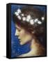 Night, c.1880-85-Edward Robert Hughes-Framed Stretched Canvas