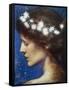 Night, c.1880-85-Edward Robert Hughes-Framed Stretched Canvas