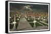 Night, Civic Center, Denver, Colorado-null-Framed Stretched Canvas