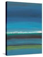 Night Coast-Jan Weiss-Stretched Canvas