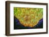 Night dive at Barrier Reef near Saint Georges Caye, Fluorescence emitted at night, exposed with spe-Stuart Westmorland-Framed Photographic Print