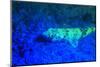 Night dive at Barrier Reef, Saint Georges Caye, Fluorescence, Belize, Central America-Stuart Westmorland-Mounted Photographic Print