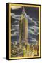 Night, Empire State Building, New York City-null-Framed Stretched Canvas