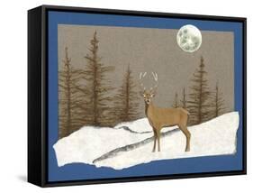 Night Encounter, 2012-Ele Grafton-Framed Stretched Canvas