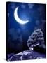 Night Fairy-Tale. Bright Moon and Tree-frenta-Stretched Canvas