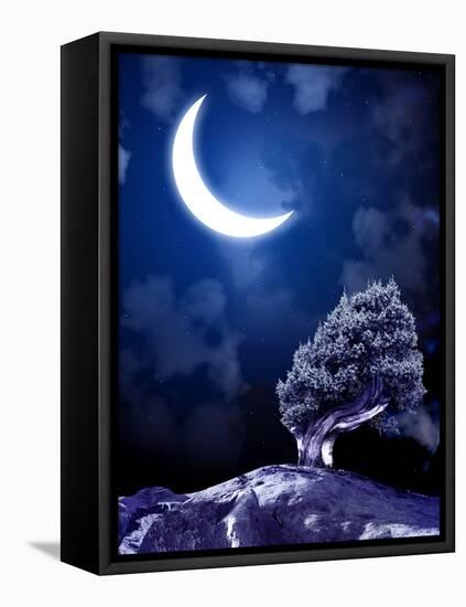 Night Fairy-Tale. Bright Moon and Tree-frenta-Framed Stretched Canvas
