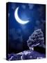 Night Fairy-Tale. Bright Moon and Tree-frenta-Stretched Canvas