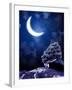 Night Fairy-Tale. Bright Moon and Tree-frenta-Framed Photographic Print