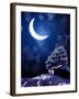 Night Fairy-Tale. Bright Moon and Tree-frenta-Framed Photographic Print