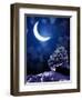 Night Fairy-Tale. Bright Moon and Tree-frenta-Framed Photographic Print