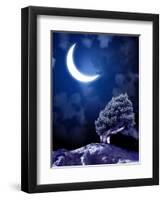 Night Fairy-Tale. Bright Moon and Tree-frenta-Framed Photographic Print