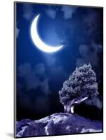 Night Fairy-Tale. Bright Moon and Tree-frenta-Mounted Photographic Print