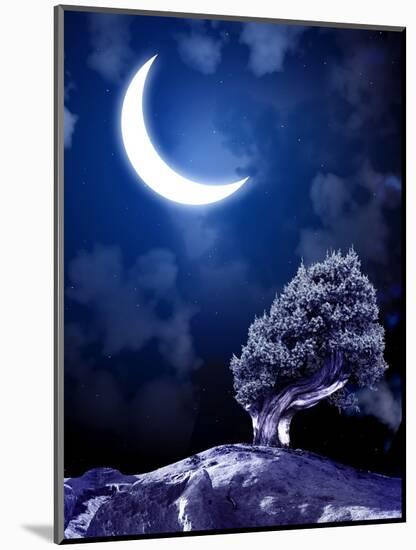 Night Fairy-Tale. Bright Moon and Tree-frenta-Mounted Photographic Print