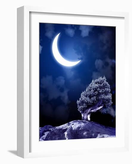 Night Fairy-Tale. Bright Moon and Tree-frenta-Framed Photographic Print