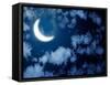 Night Fairy Tale - Bright Moon in the Night Sky-frenta-Framed Stretched Canvas