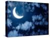 Night Fairy Tale - Bright Moon in the Night Sky-frenta-Stretched Canvas