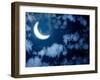 Night Fairy Tale - Bright Moon in the Night Sky-frenta-Framed Photographic Print