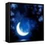 Night Fairy Tale - Bright Moon Reflected In Water-frenta-Framed Stretched Canvas
