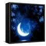 Night Fairy Tale - Bright Moon Reflected In Water-frenta-Framed Stretched Canvas