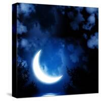 Night Fairy Tale - Bright Moon Reflected In Water-frenta-Stretched Canvas