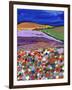 Night Falling on Aboyne-Caroline Duncan-Framed Giclee Print