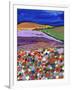 Night Falling on Aboyne-Caroline Duncan-Framed Giclee Print