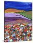 Night Falling on Aboyne-Caroline Duncan-Stretched Canvas