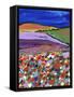 Night Falling on Aboyne-Caroline Duncan-Framed Stretched Canvas