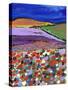 Night Falling on Aboyne-Caroline Duncan-Stretched Canvas