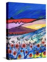 Night Falling-Caroline Duncan-Stretched Canvas