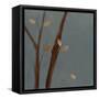 Night Falls I-Lanie Loreth-Framed Stretched Canvas