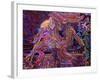 Night Flight 1-Josh Byer-Framed Giclee Print