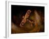 Night Flight over Mapworld-Jack Germsheld-Framed Photographic Print