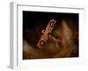 Night Flight over Mapworld-Jack Germsheld-Framed Photographic Print