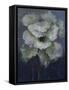 Night Flower 1, 2022 (Oil on Canvas)-Victoria Montesinos-Framed Stretched Canvas