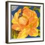 Night Flower I-Sandra Jacobs-Framed Giclee Print