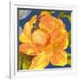 Night Flower I-Sandra Jacobs-Framed Giclee Print