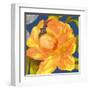 Night Flower I-Sandra Jacobs-Framed Giclee Print