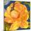 Night Flower I-Sandra Jacobs-Mounted Giclee Print