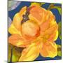 Night Flower I-Sandra Jacobs-Mounted Giclee Print