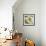 Night Flower II-Sandra Jacobs-Framed Giclee Print displayed on a wall