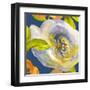 Night Flower II-Sandra Jacobs-Framed Giclee Print