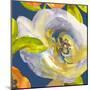 Night Flower II-Sandra Jacobs-Mounted Giclee Print