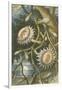 Night-Flowering Cactus, c.1874-null-Framed Giclee Print