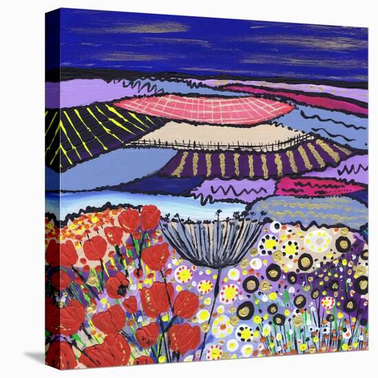 Night Flowers-Caroline Duncan-Stretched Canvas