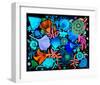 Night Garden-Mercedes Lagunas-Framed Art Print